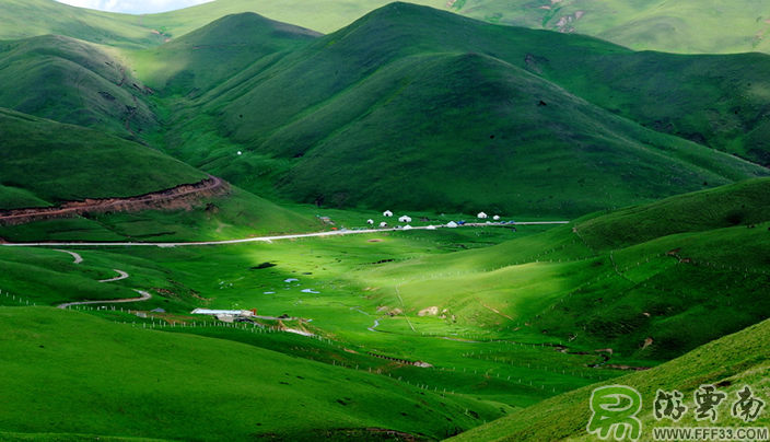 會澤大海草(cǎo)山(shān)